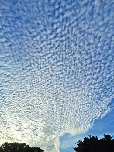 Photo of the Day: Mackerel Sky